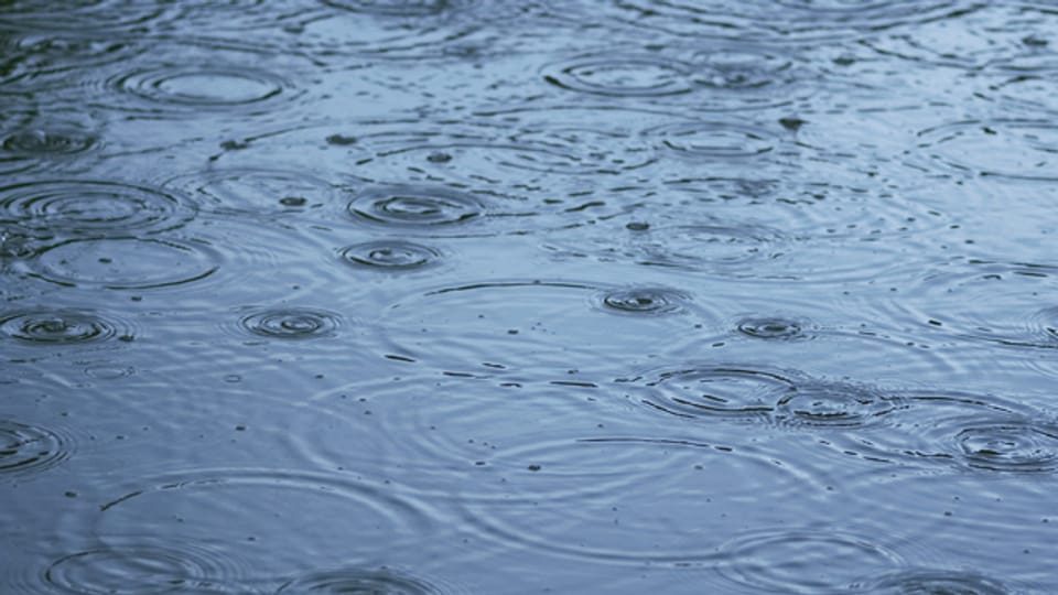 Regentropfen verzaubern die Oberfläche eines Sees in ein Kunstwerk.