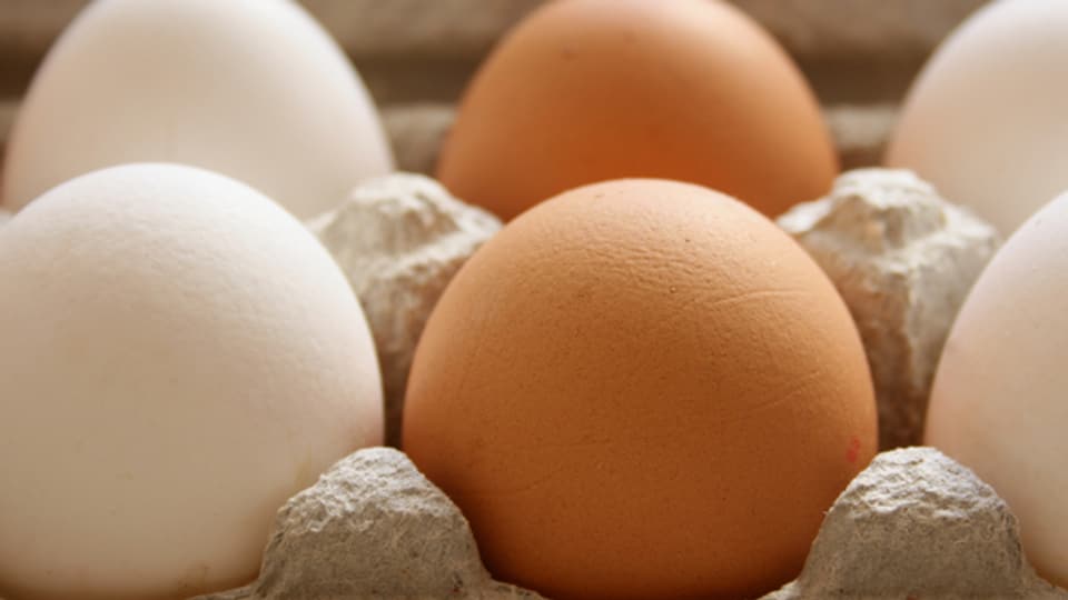 Egal ob braun oder weiss: alle Eier schmecken gleich.