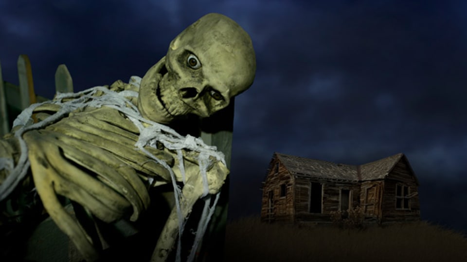 Skelette sind beliebte Schreckgestalten einer Geisterbahn (Symbolbild).