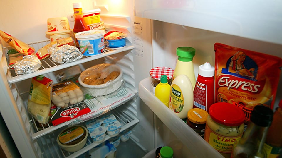 Es gibt verschiedene Möglichkeiten, schlechte Gerüche im Kühlschrank zu neutralisieren.