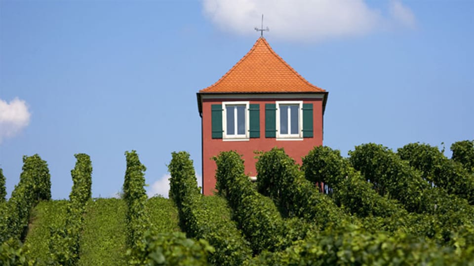Das rote Haus als Markenzeichen vom Aussichtspunkt auf dem Hohberg.