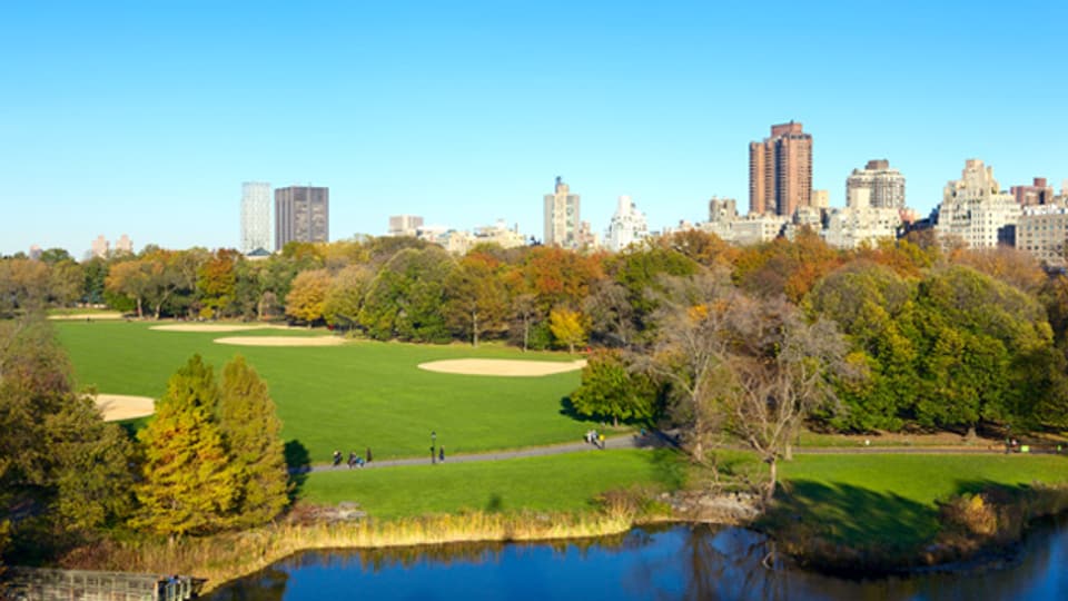 Blick über den herbstlichen Central Park in New York City.
