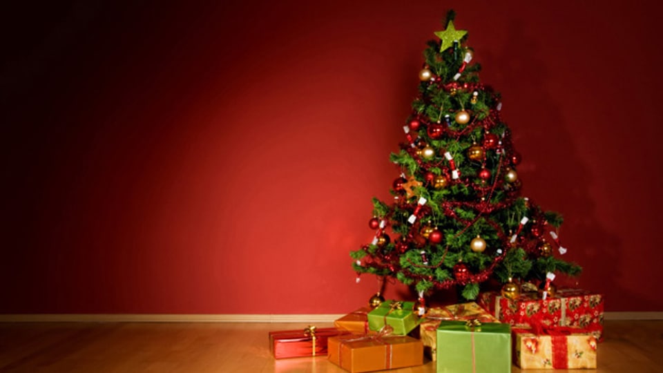 Damit der Weihnachtsbaum sicher steht, muss erst der Christbaumständer gefunden werden.
