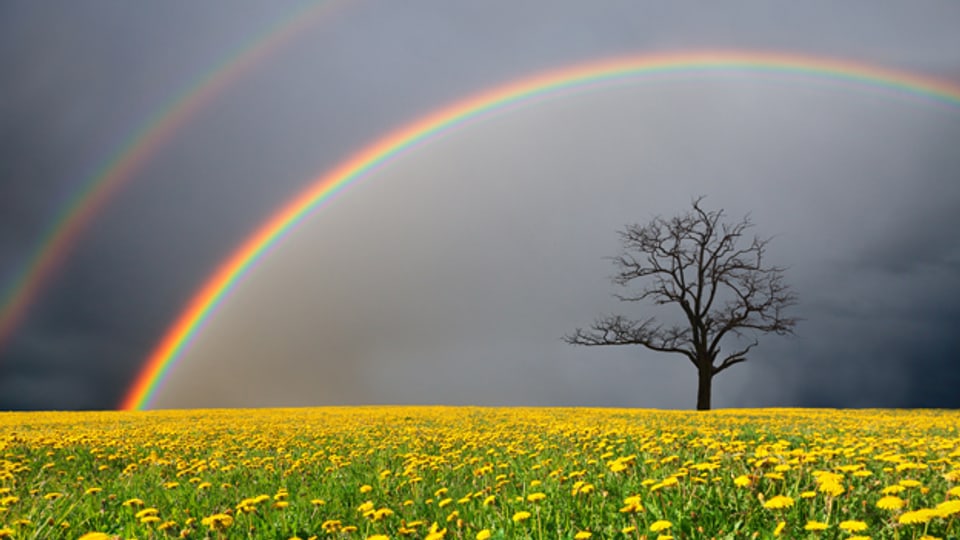 Der Regenbogen als Symbol der Hoffnung.