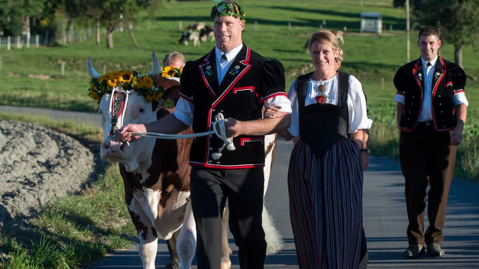 Ein Dorf empfängt 2013 seinen König: Der frisch gekrönte Schwingerkönig Matthias Sempach - mit Freundin an der Seite und Siegermuni an der Leine - auf dem Weg nach Alchenstorf.