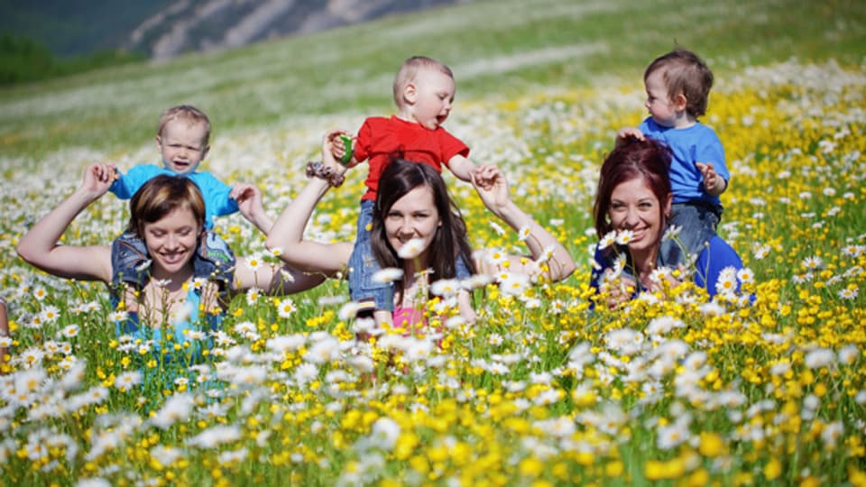 Die europäische Trollblume nennt in Teilen der Schweiz als Ankebälli.