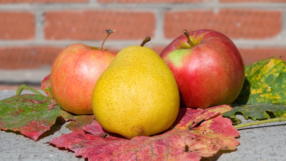 Sind Birnen gleich gesund wie Äpfel?