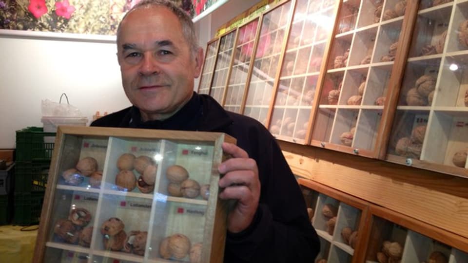 Heinrich Gubler züchtet rund 300 verschiedene Sorten von Baumnüssen in Hörhausen