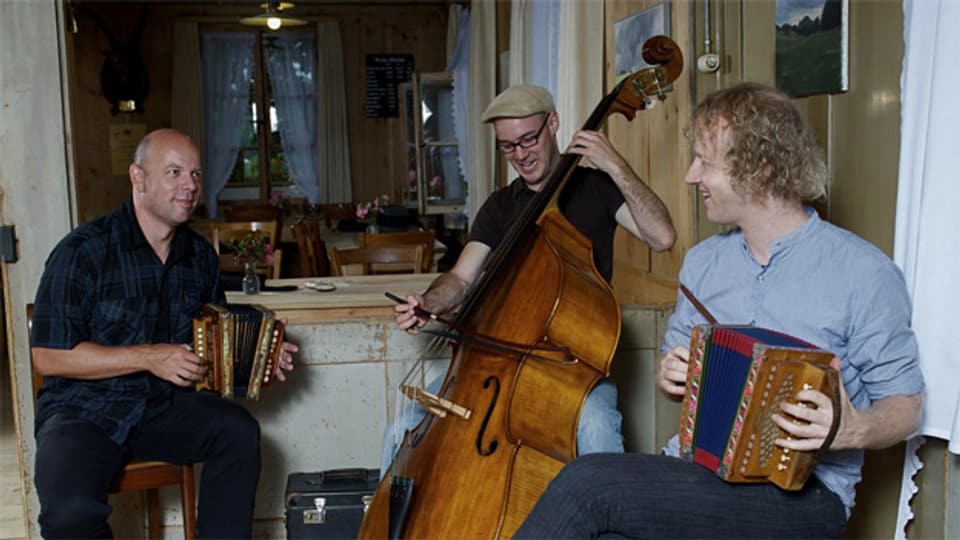 Die Spielfreude steht ihnen ins Gesicht geschrieben. Thomas Aeschbacher, Jürg Nietlispach und Simon Dettwiler bilden das Trio Pflanzplätz.