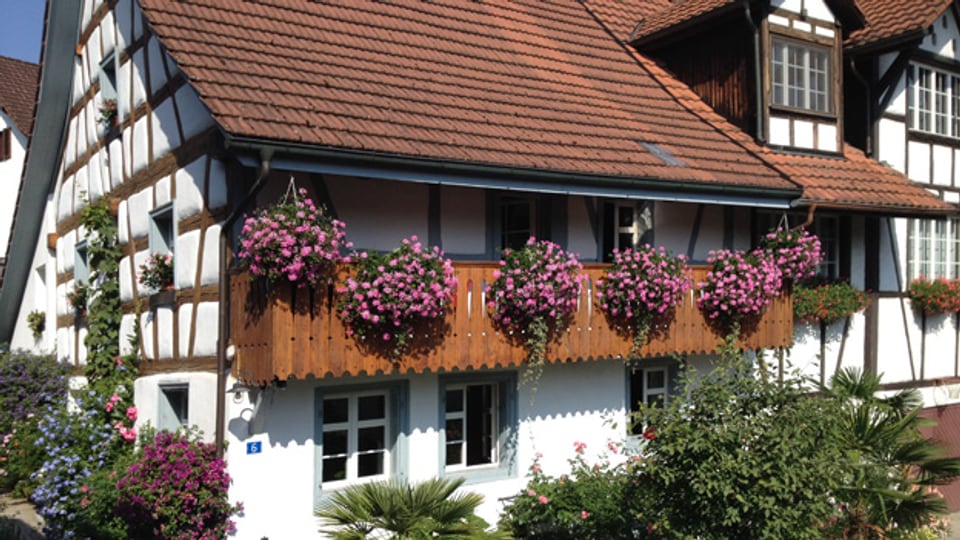 Auf Bernhard Siegmanns Balkon stehen die Geranien in herrlicher Blüte.