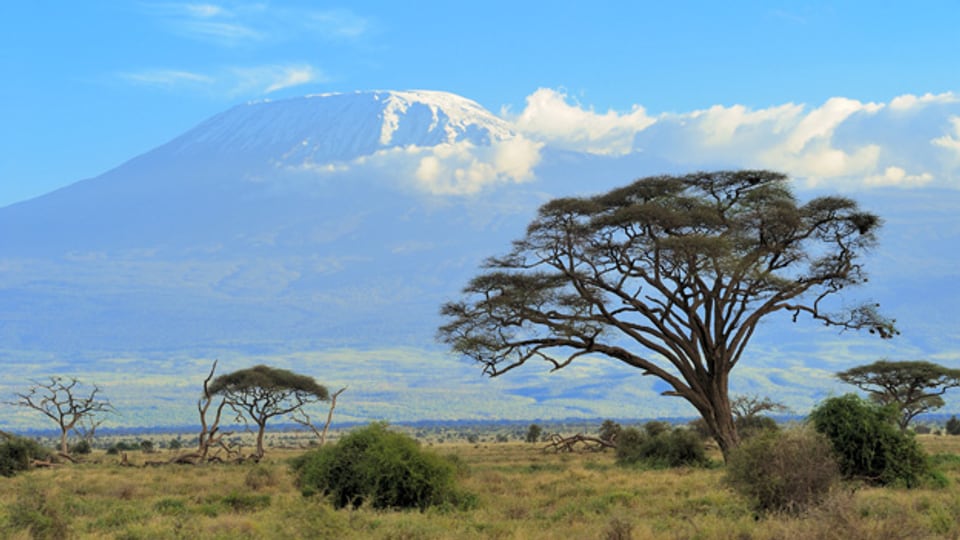 Die Weltreise als Rucksack-Tourist hat Hansruedi Guggenbühl 1966 unter anderem auf den Gipfel des Kilimanjaro geführt..