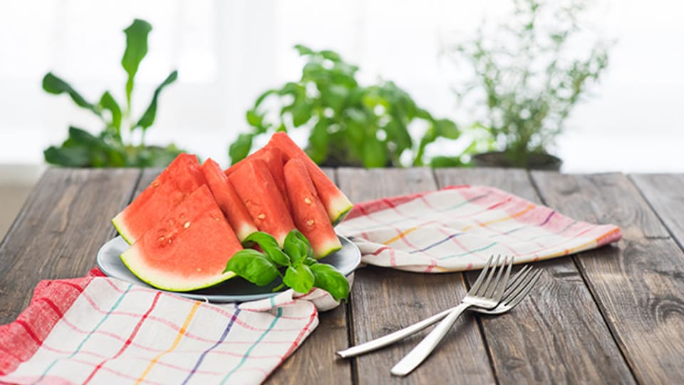 Melonen auf dem eigenen Balkon ziehen – und dann geniessen!