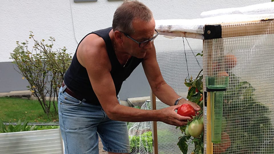 Seine Gartenarbeit kann sich Rentner Willi Loosli frei einteilen.