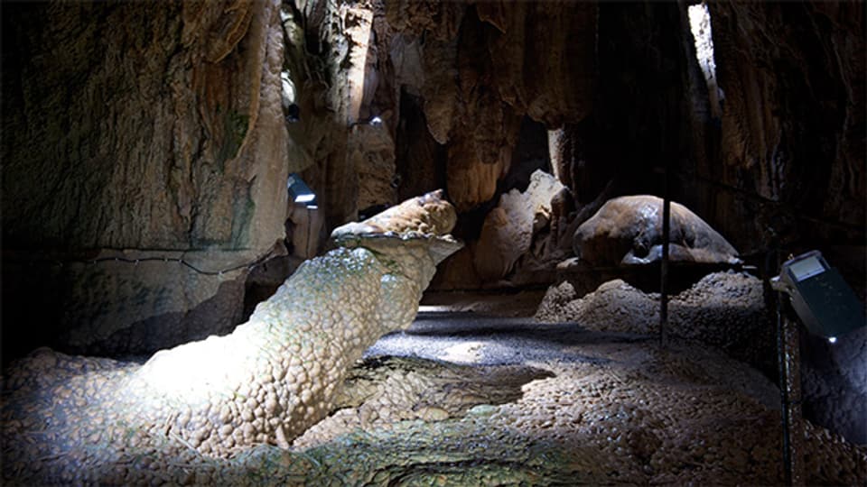 Die Natur schafft Kunstwerke wie dieses «Krokodil» in den Höllgrotten bei Baar.