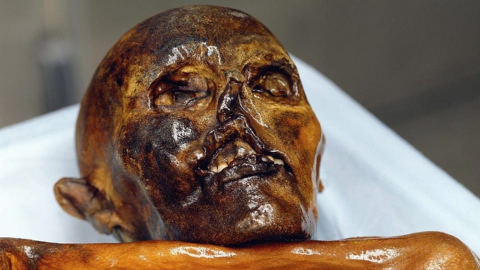 «Ötzi» kommt nicht richtig zur Ruhe. Noch heute ist er ein begehrtes Forschungsobjekt.