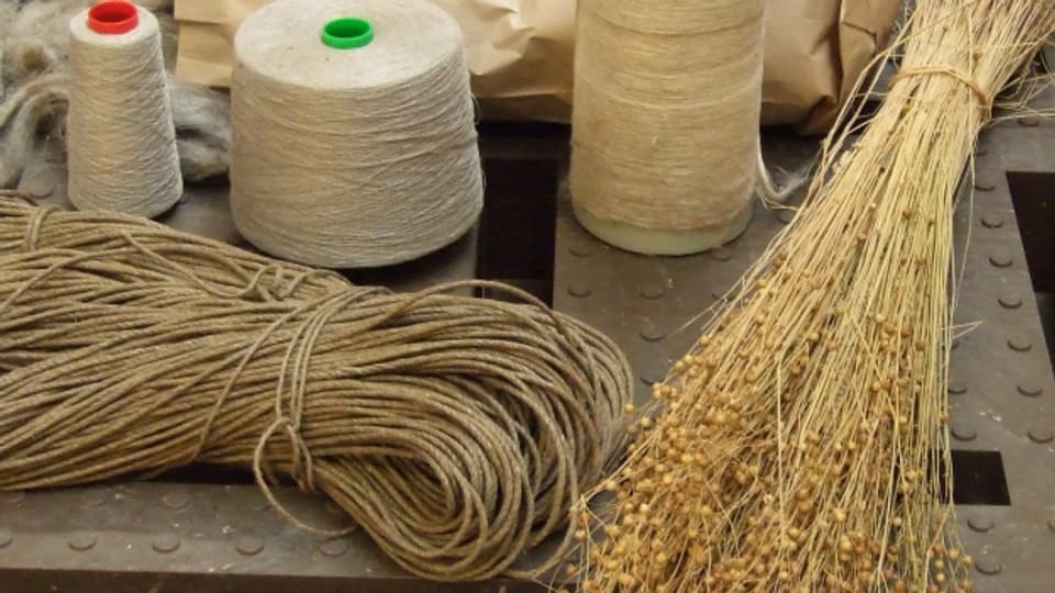 Flachs kann zu Seilen und Fäden verarbeitet werden.