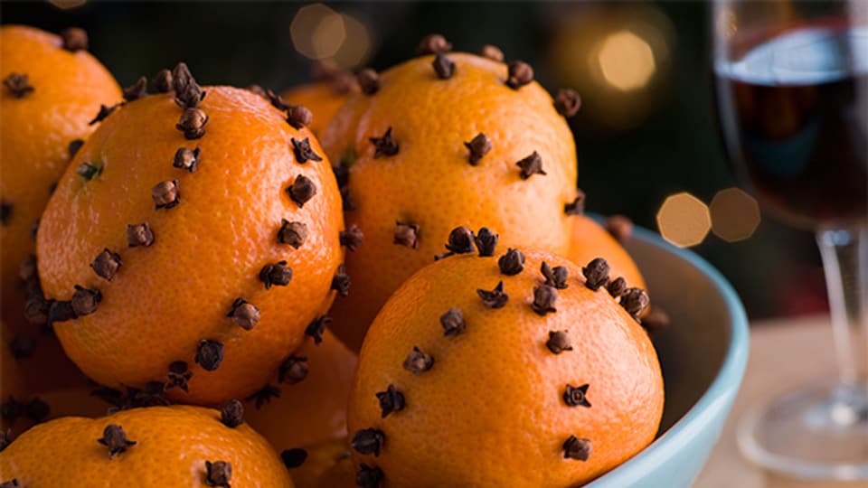 Nelken in Orangen erinnert Familie Helfer an schöne Tage in Indien.