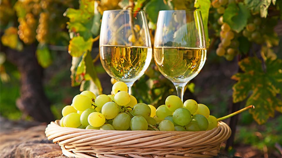 In der Nähe von St. Tropez gibt es ein Weingut namens «les Tournels».