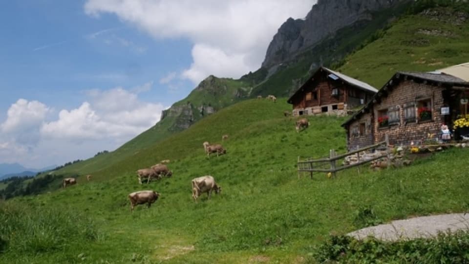 In der Schweiz gibt es 6800 Alpbetriebe.