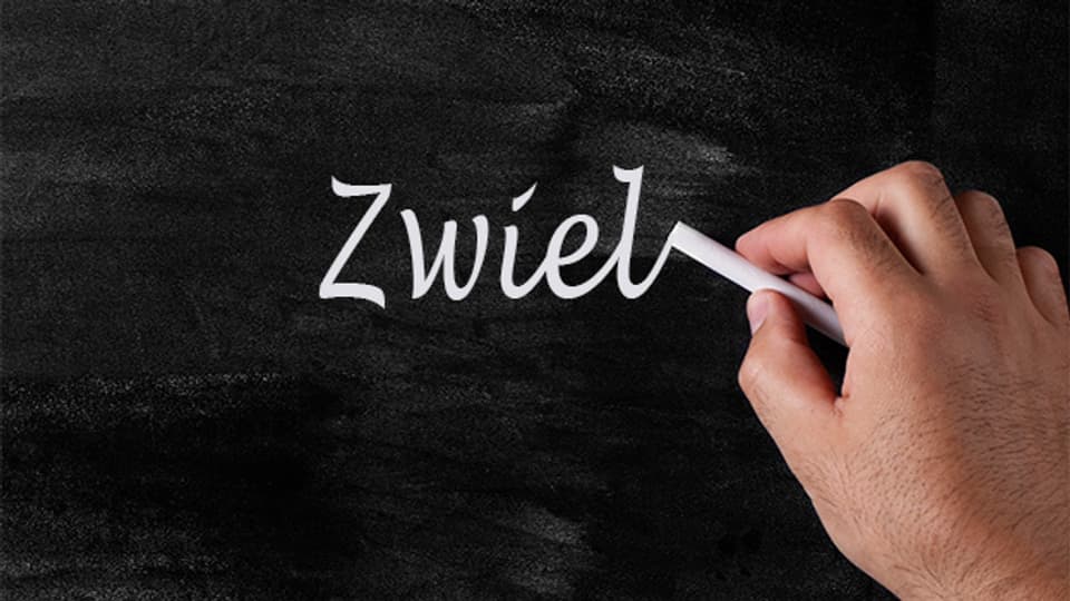 Eine Verwandtschaft mit dem Wort «Zwille/Zwiesel» wäre auch möglich. Das bedeutet «Gabelzweig».