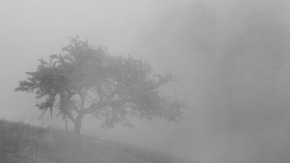 Nebel: mystisch oder bedrückend?