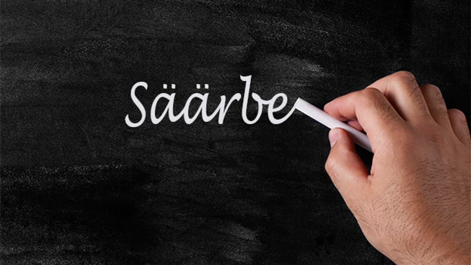 Im Simmetaler Wörterbuch kommt das Wort «Säärbe» vor.