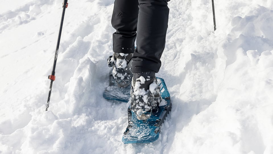 Bei Collegium 60plus gibt es auch Angebote im Freien wie zum Beispiel gemeinsames Schneeschuhlaufen.