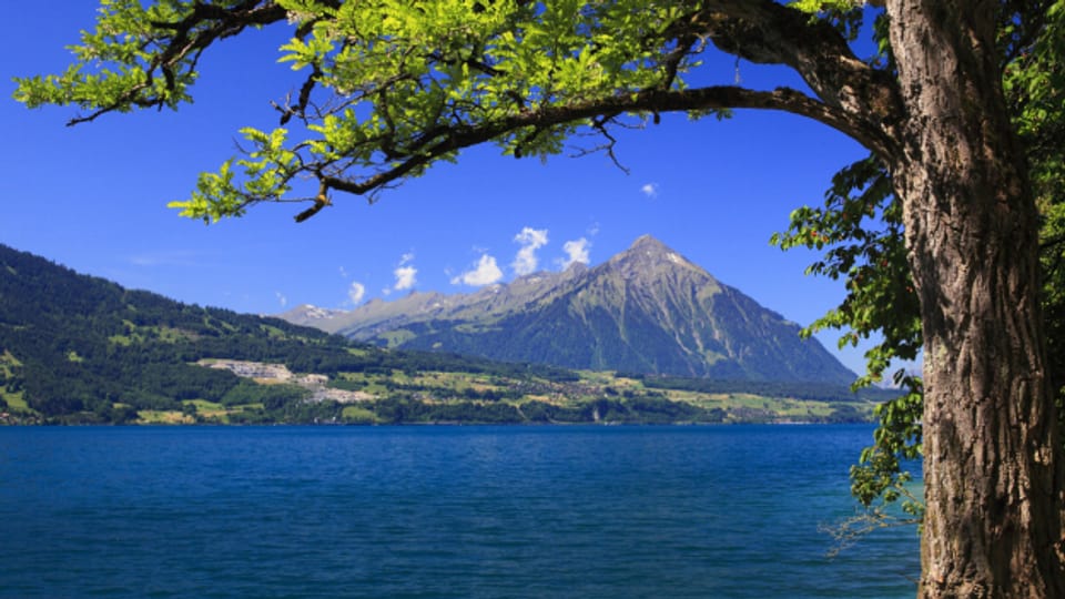 Der tiefblaue Thunersee ist der grösste See im Berner Oberland.