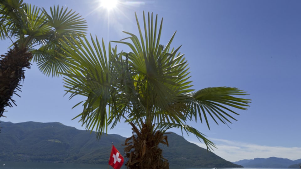 Das Tessin gilt als Sonnenstube der Schweiz.