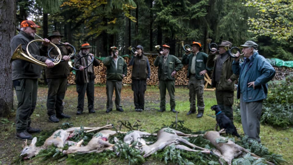 Jagdhornbläser geben die letzte Ehre für das erlegte Wild.