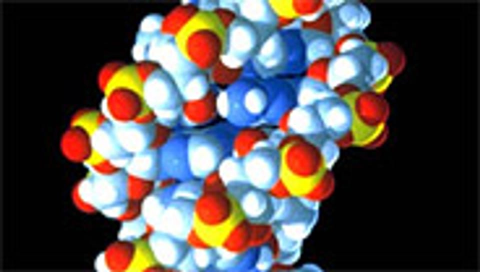 Modell eines DNA-Moleküls