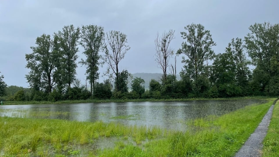 Feld mit Wasser