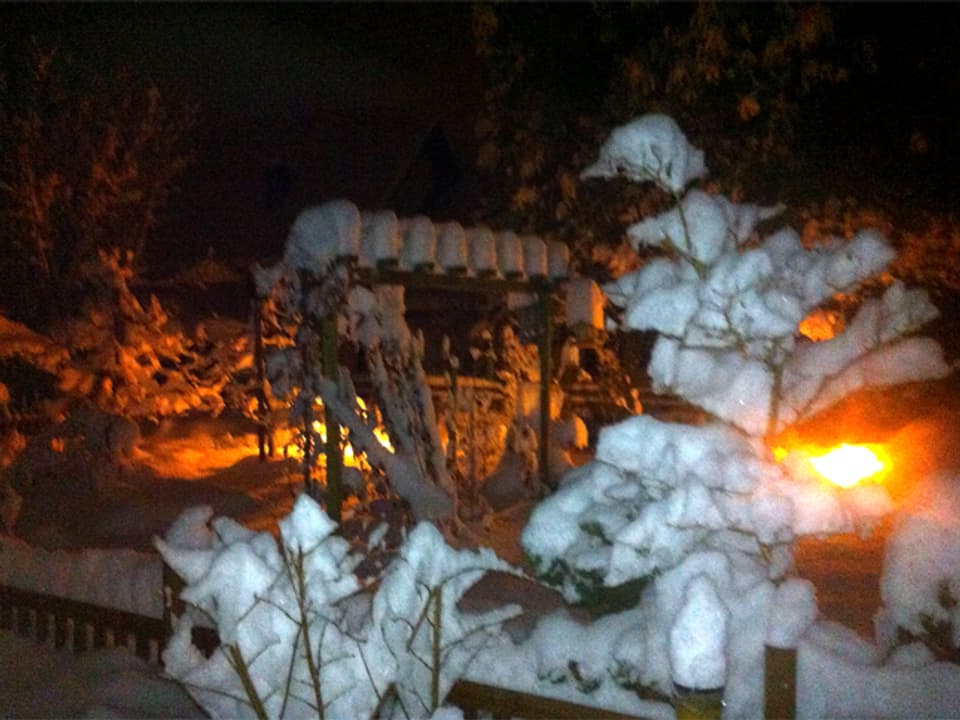 Blick in einen verschneiten Garten bei Nacht. Gegenlicht eines Autos.