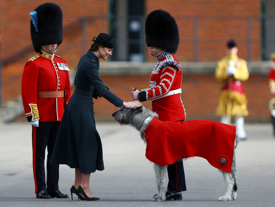 Herzogin Kate streichelt den Irischen Wolfshund.