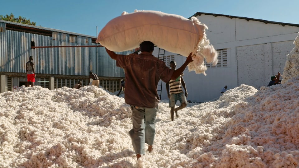 Ein Mann trägt in Tansania Baumwolle über seinem Kopf.