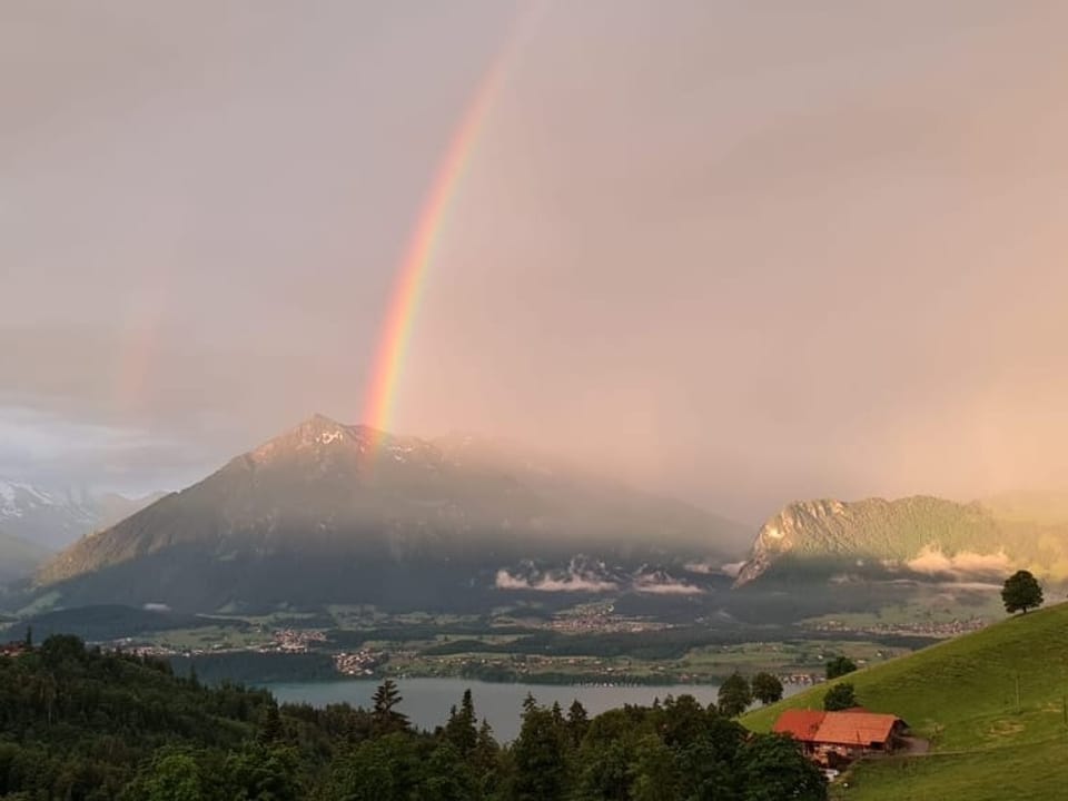 Regenbogen.