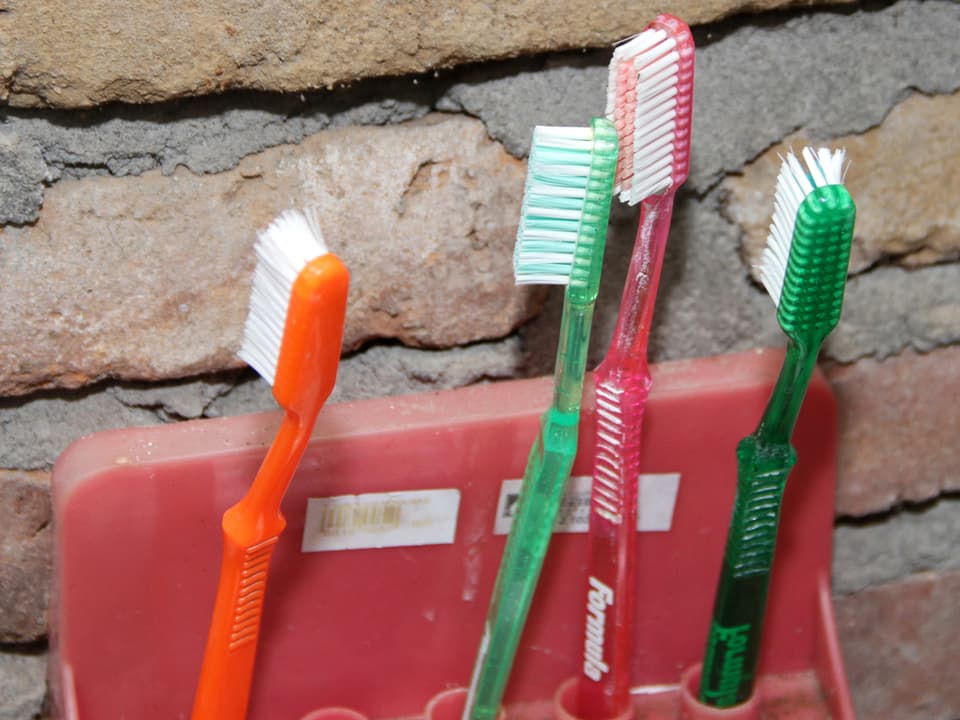 Vier Zahnbürsten in einem Plastikhalter