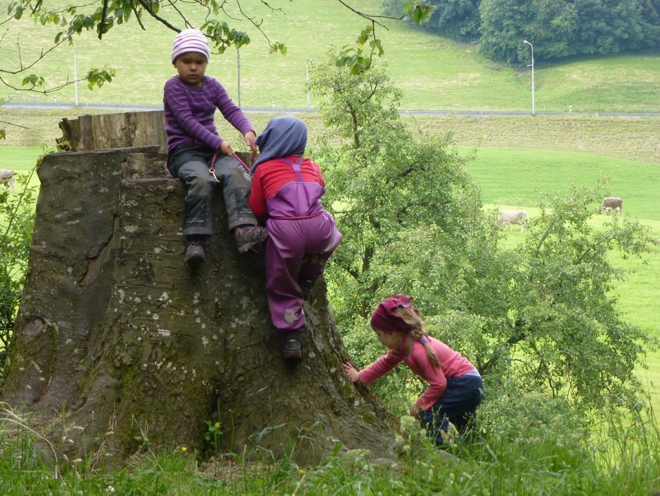 Baumstrunk Kinder klettern