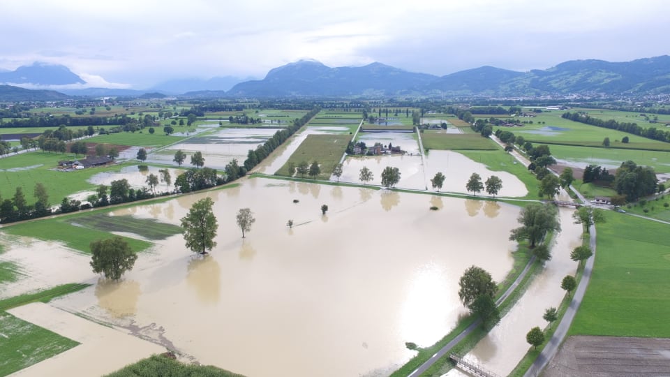 Überschwemmte Felder im St. Galler Rheintal am Samstag.