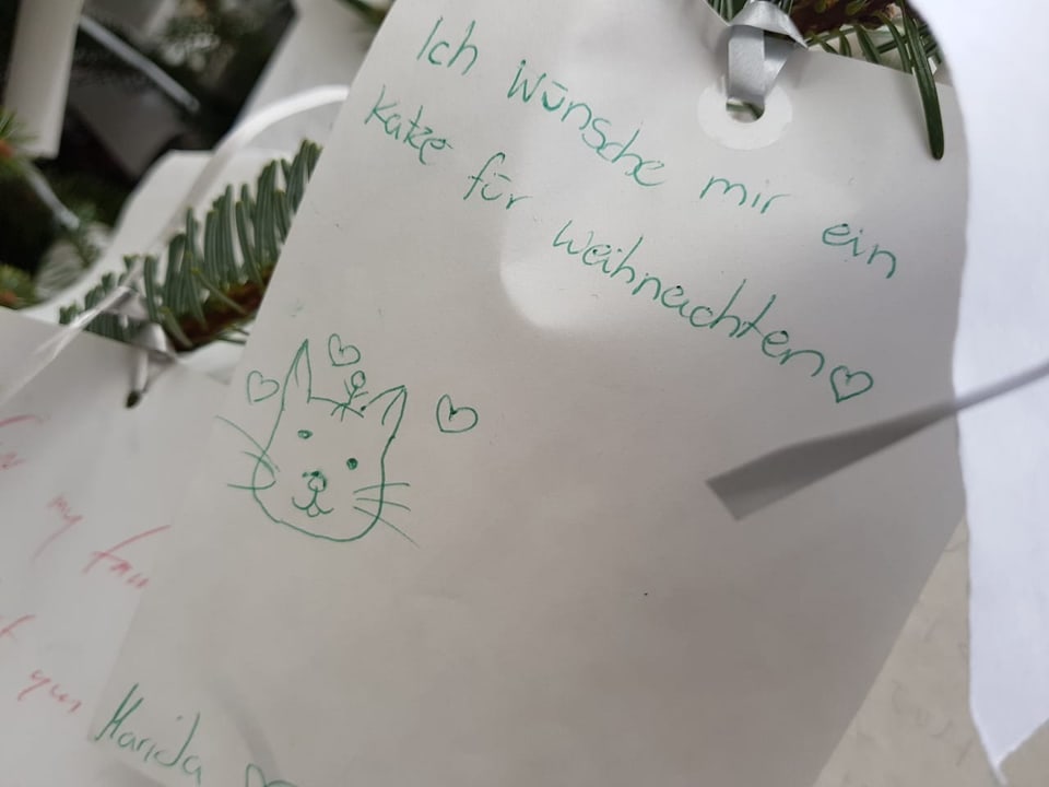 weisser Zettel, grüne Schrift: «Ich wünsche mir eine Katze für Weihnachten» dazu eine Zeichnung eines Katzenkopfs.