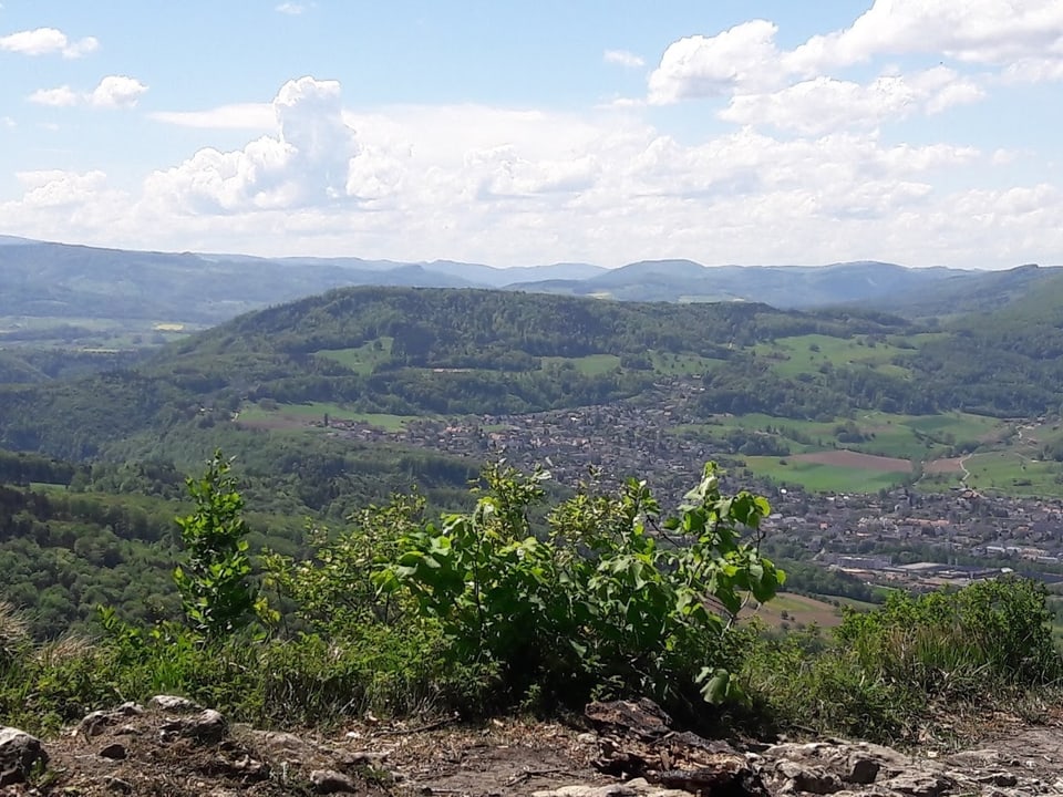 Panorama vom Gempenplateu auf hügelige Landschaft.