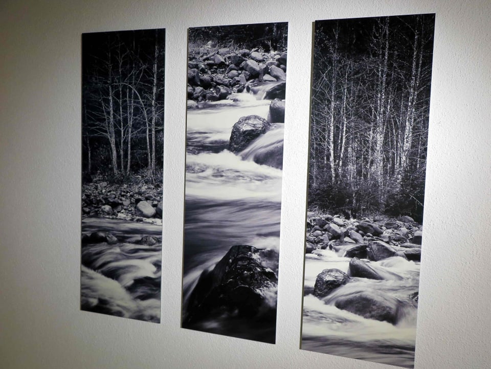 Drei Fotos mit Bach und Wald