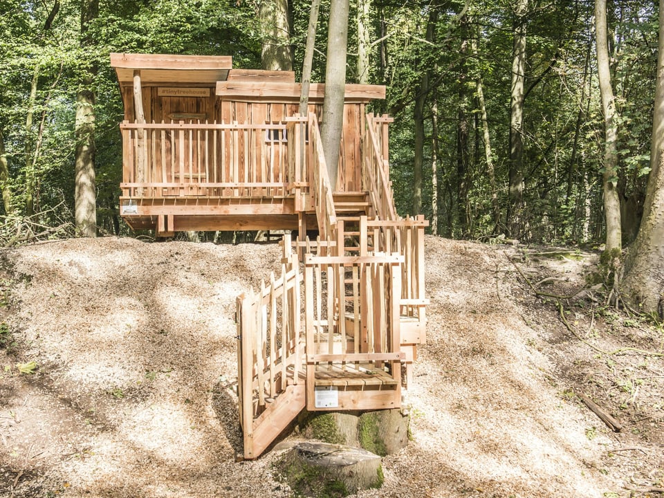 Holzhaus mit Treppe im Wald