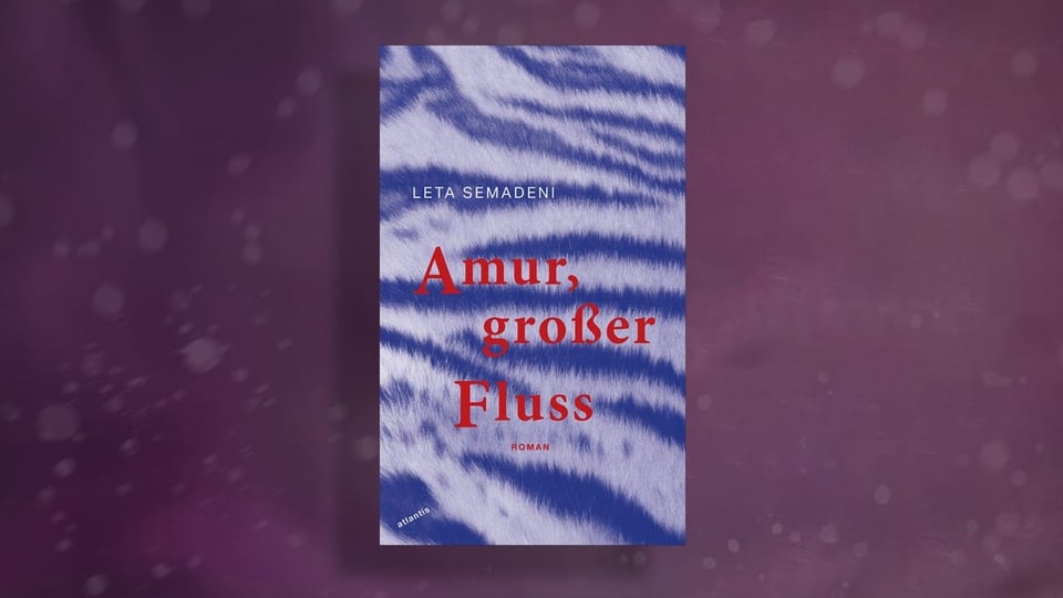 Buchcover mit blaue gemusterte Hintergrund