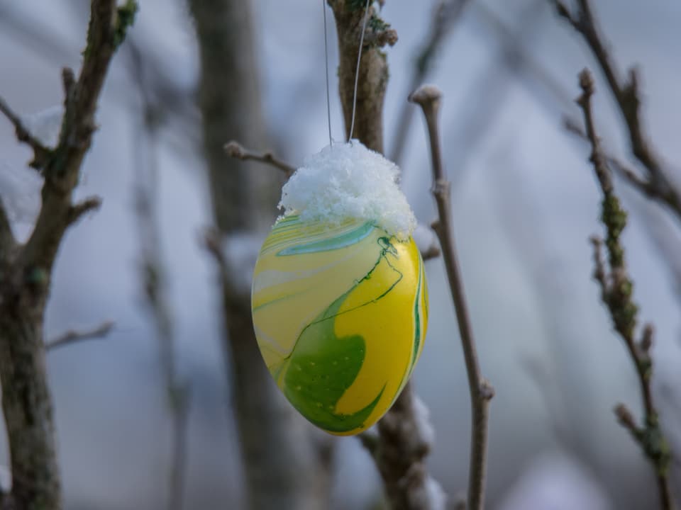 Schnee auf Osterei