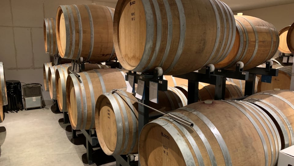 Im Barrique-Keller lagern in Holzfässern die hochstehenden Weine von Christian Herzogs Weingut.