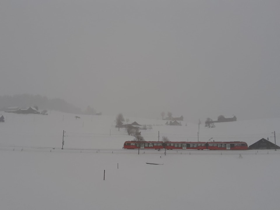 Ein Zug fährt durch die Winterlandschaft.