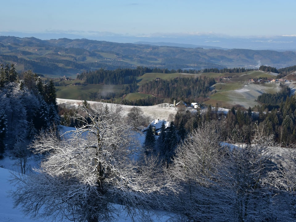 Rämis oberhalb Langnau im Emmental/BE. Blick insTal, zuerst etwas angezuckert, dann grüne Landschaft.