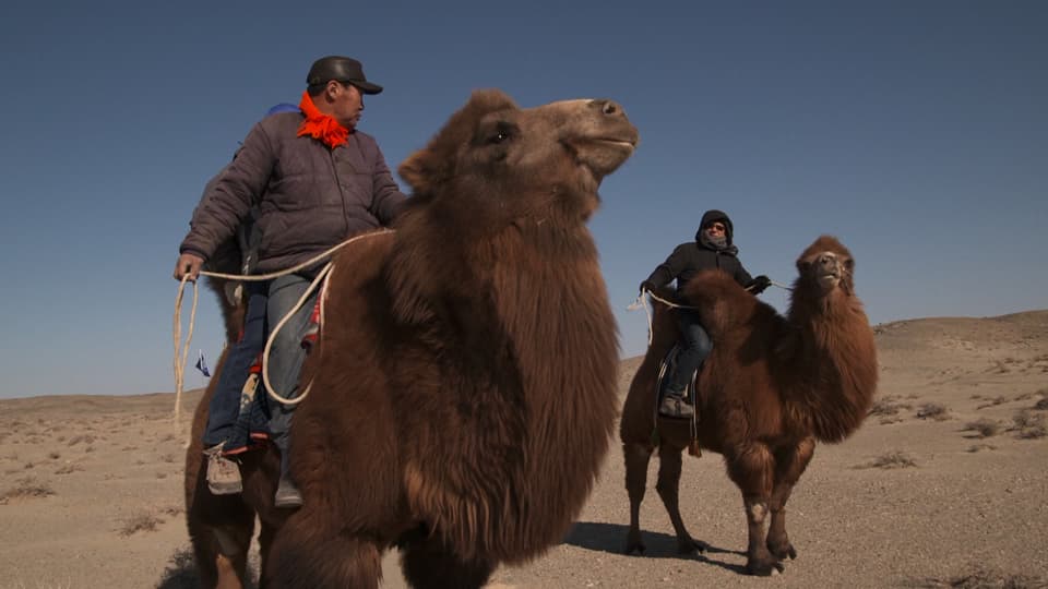 Auf der Suche nach dem sichersten Ort der Welt: In der Wüste Gobi