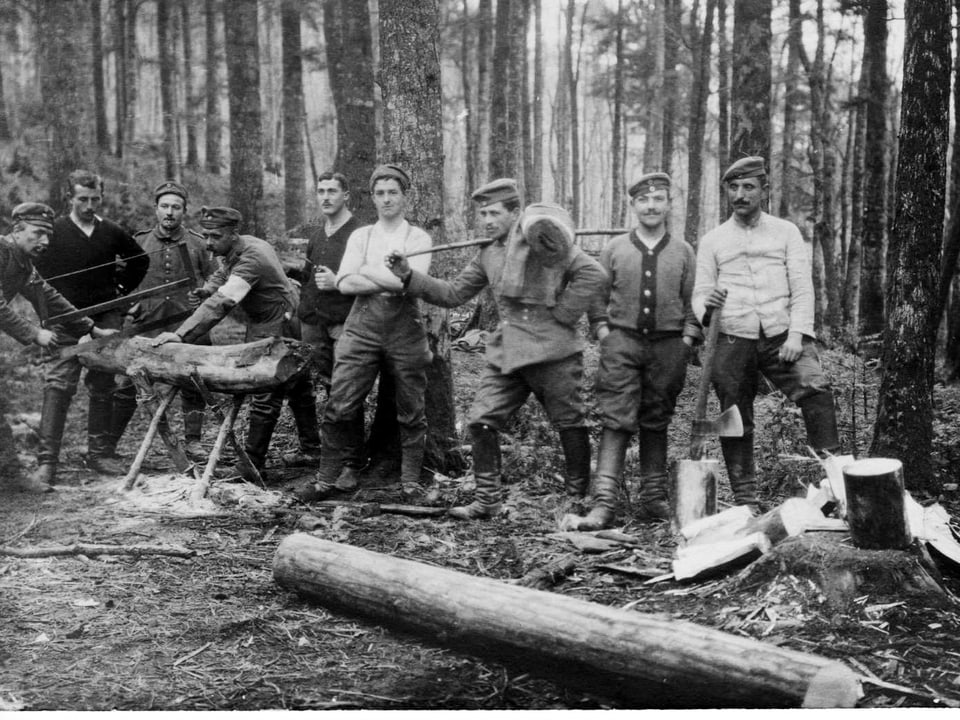 Zahlreiche Männer stehen mit Werkzeugen im Wald.